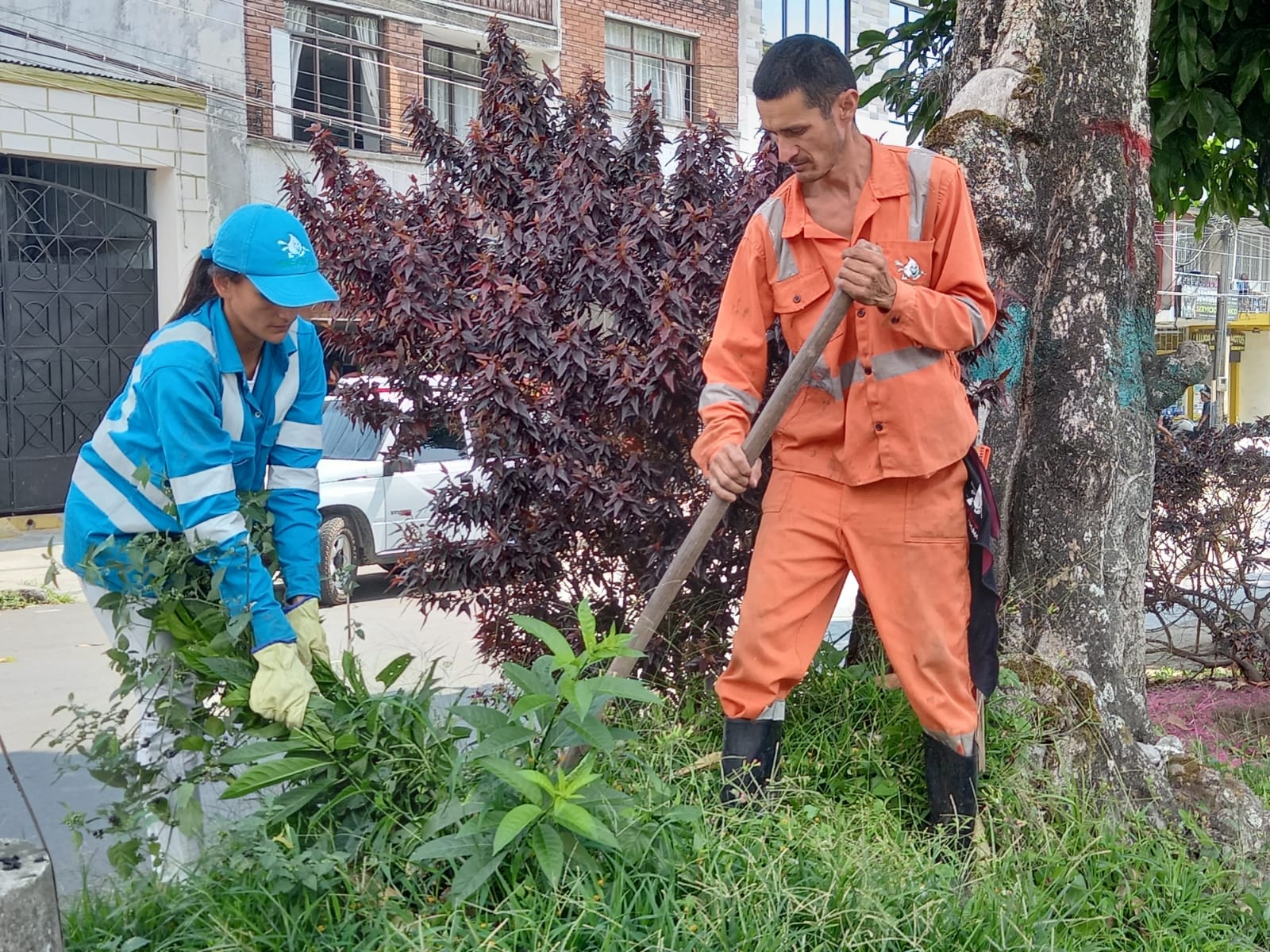 Operarios de aseo de EMSER podando y limpiando una zona verde