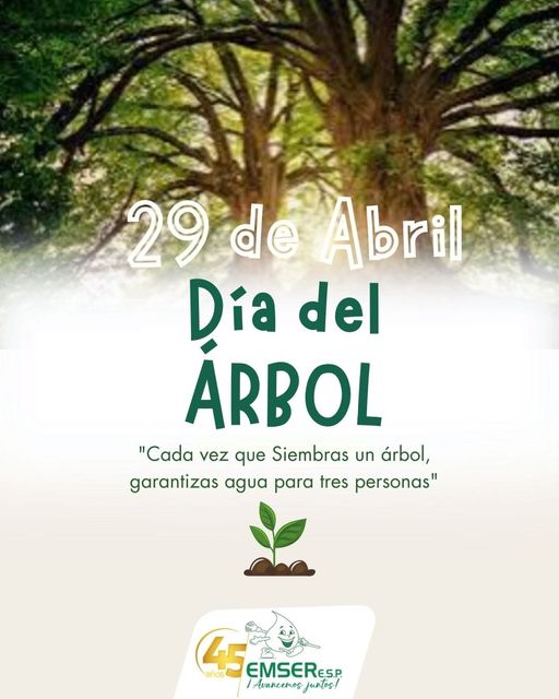 Celebremos el Día del Árbol con Compromiso y Acción: ¡Cuidemos Nuestro Planeta!