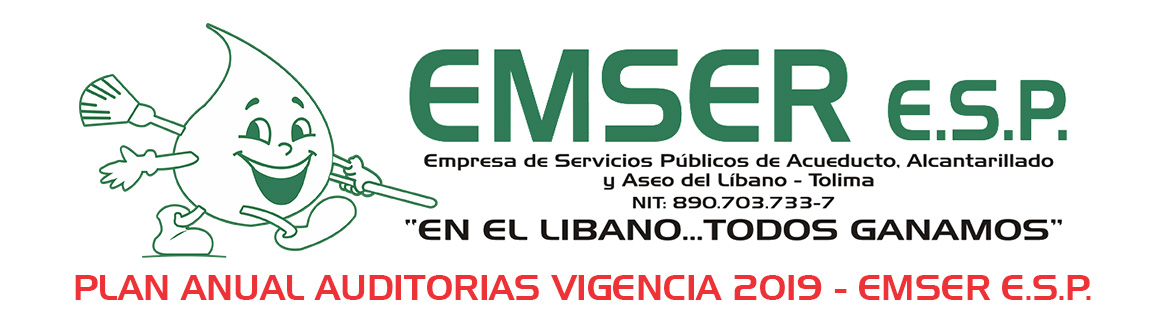 Plan anual de auditorias 2019
